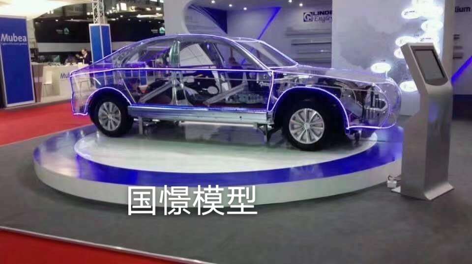 正阳县透明车模型